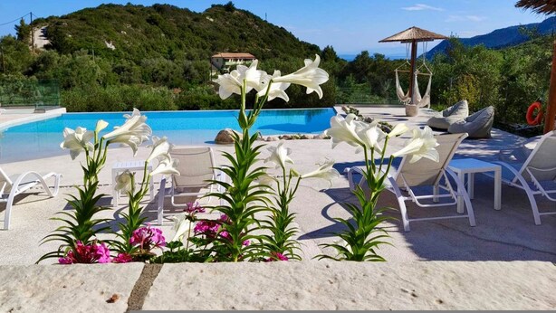 A poolside area with lounge chairs, a hammock, and flowers. - Ninfas del Mar (Lefkada)