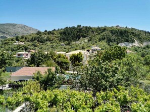 A hillside residential area with houses, vineyards, and a mountain in the background. - Sea Breeze Apartment n 2 (Lefkada)