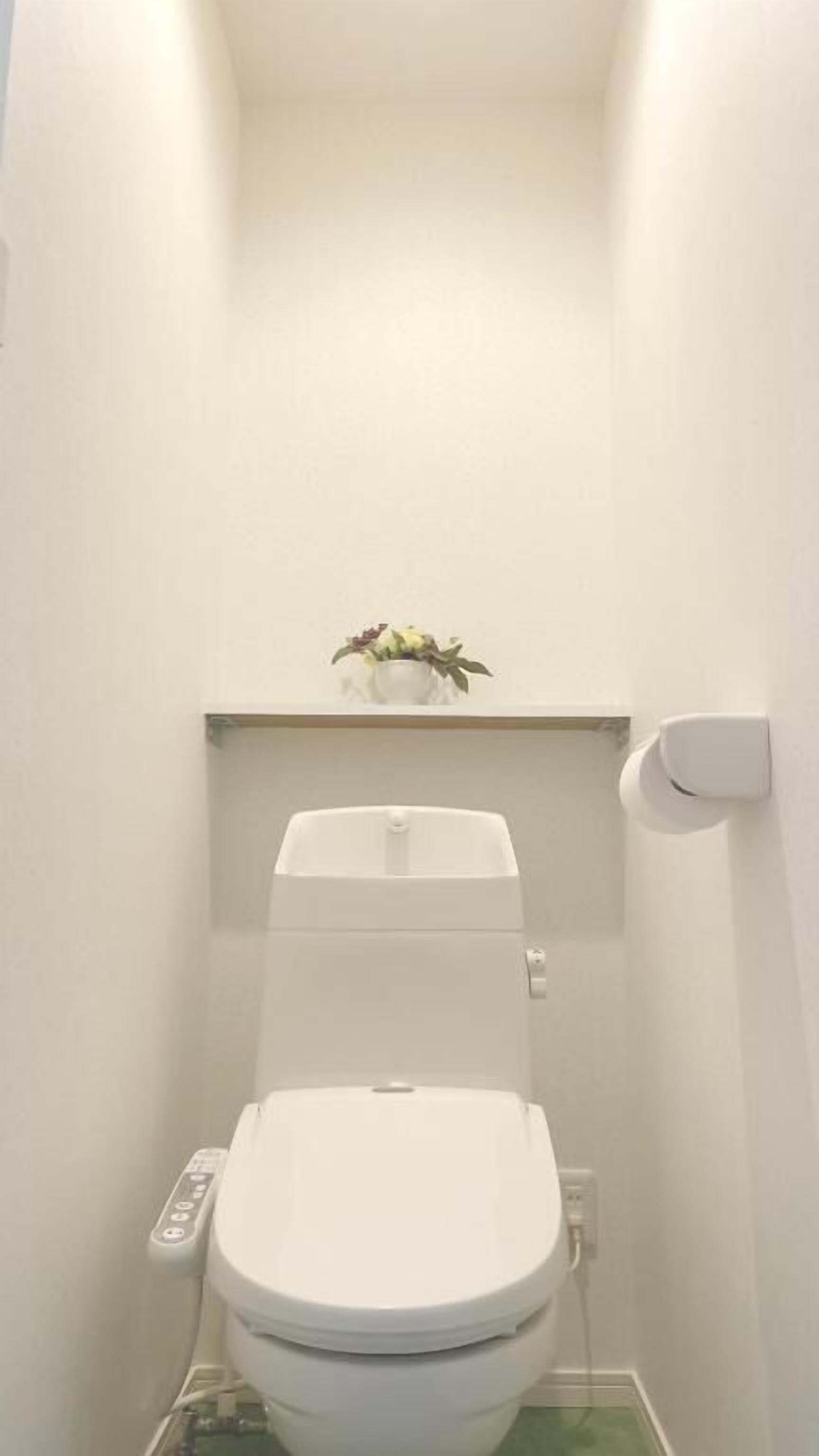 Un baño pequeño y blanco con inodoro, dispensador de papel higiénico en la pared y un estante con una planta en maceta.