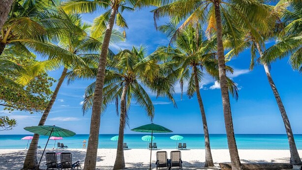 A beach with palm trees, beach chairs, and umbrellas. - Citygate 2 BR Pool View P503-4 (Kamala)