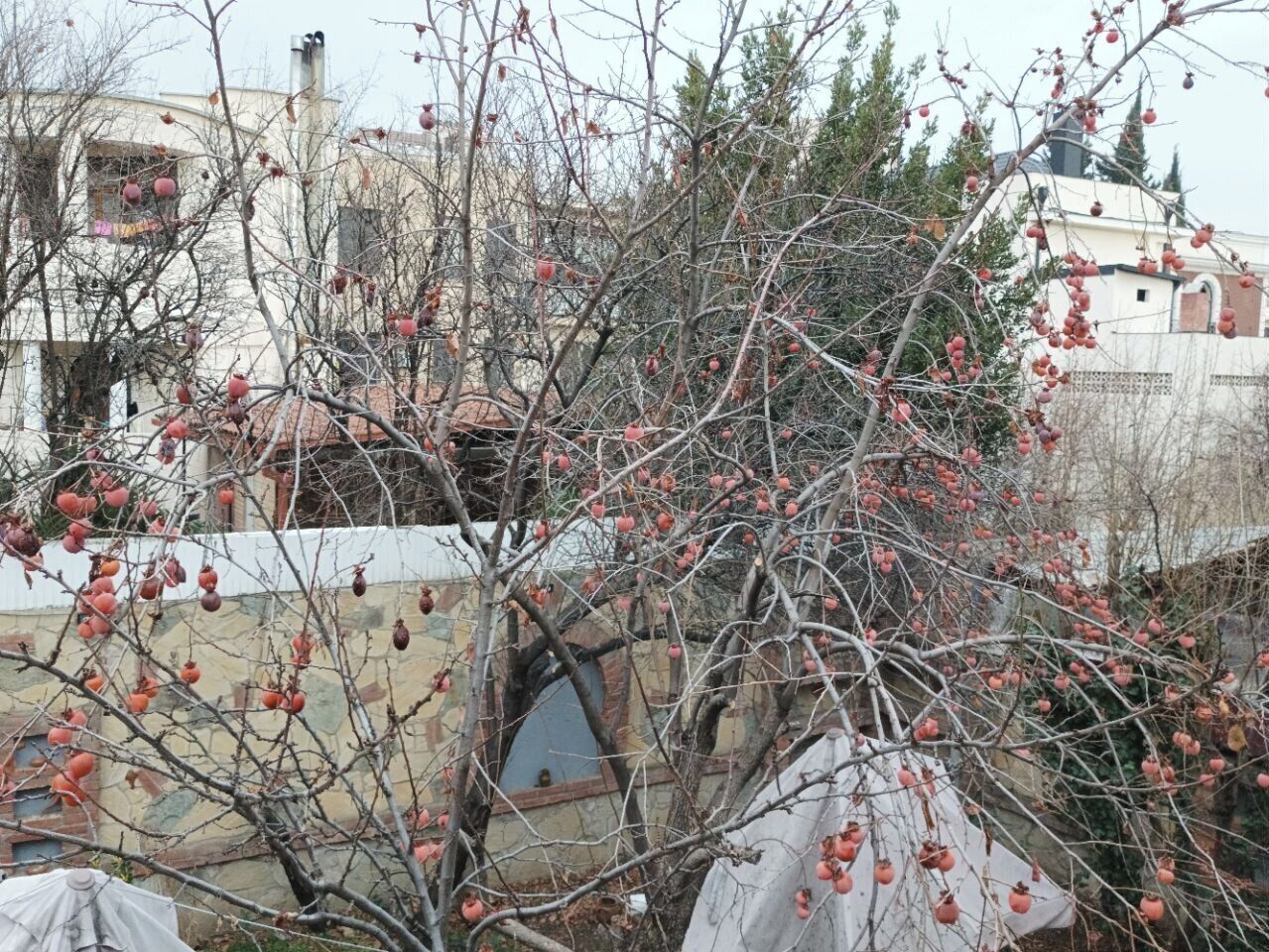 Standard Triple Room, City View | Miscellaneous