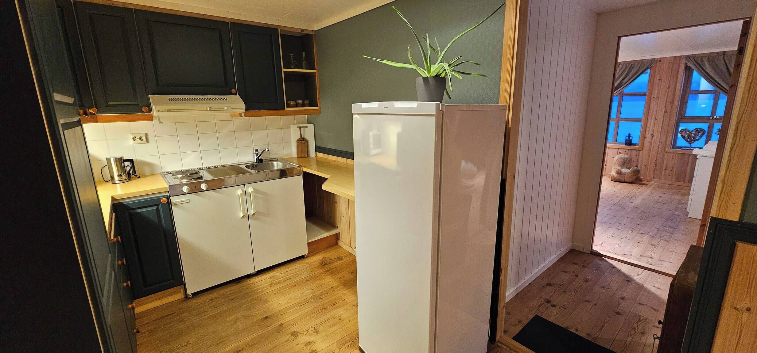 Fridge, oven, stovetop, toaster