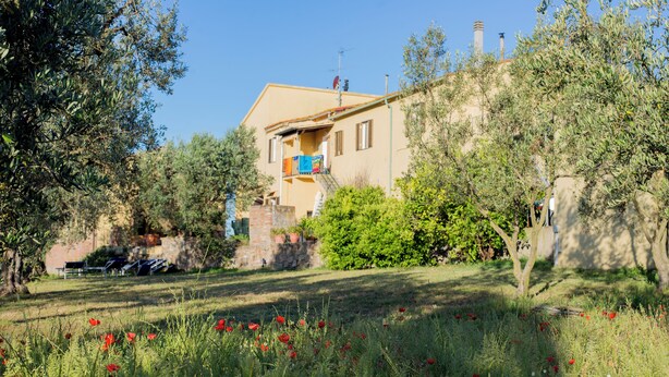 Unclassified image, 1 of 6, button - Farmhouse Greppo all'Olivo :to spend your vacation with your family! (Donoratico)