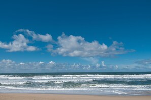 On the beach - Monterey Dunes 208 - Moss Landing Townhome - A Mile of Beachfront! (Moss Landing)