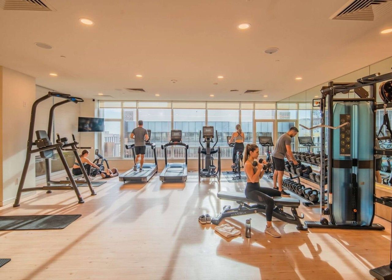 A gym with treadmills, weight machines, and free weights.