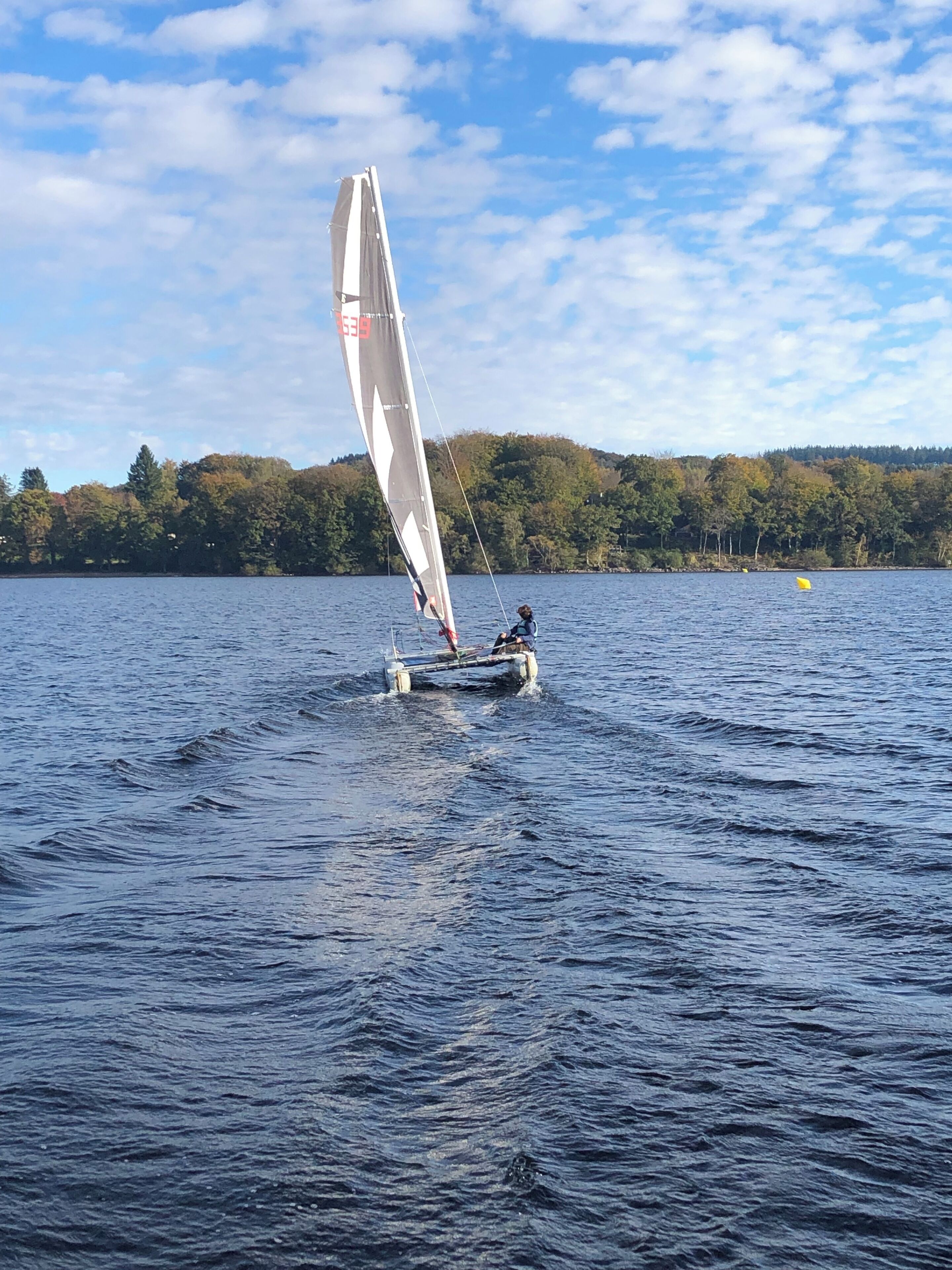 Un velero en un lago tranquilo con una orilla boscosa al fondo.