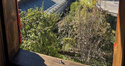 Renovated Mountain View Apartment