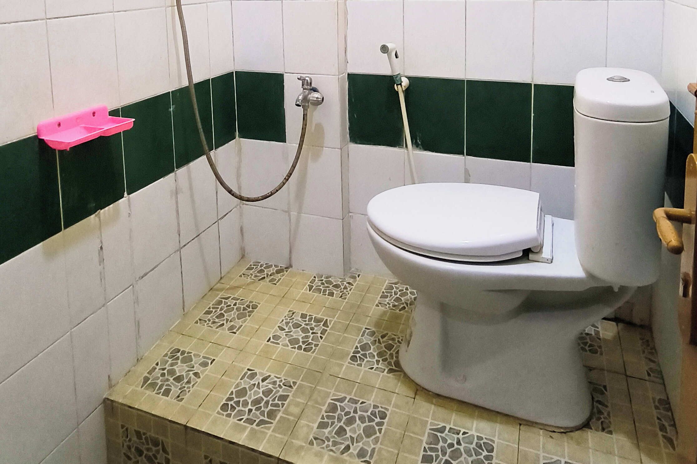 A bathroom with a toilet, a shower, and a pink shelf.