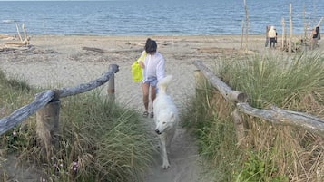 En la playa, playa de arena blanca y camas de playa (con cargo)