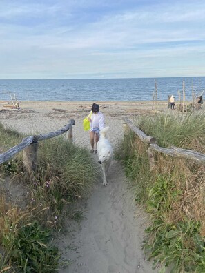 Aan het strand, wit zand, cabana's (toeslag), ligstoelen aan het strand
