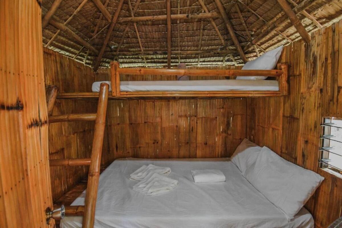 A rustic wooden room with a bunk bed, a ladder, and a window with a metal rack.