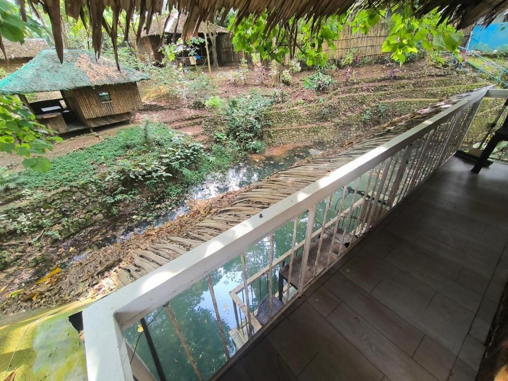 Blick auf einen Garten mit einem kleinen Teich, einer Holzbrücke und einem Gebäude mit einem Reetdach.