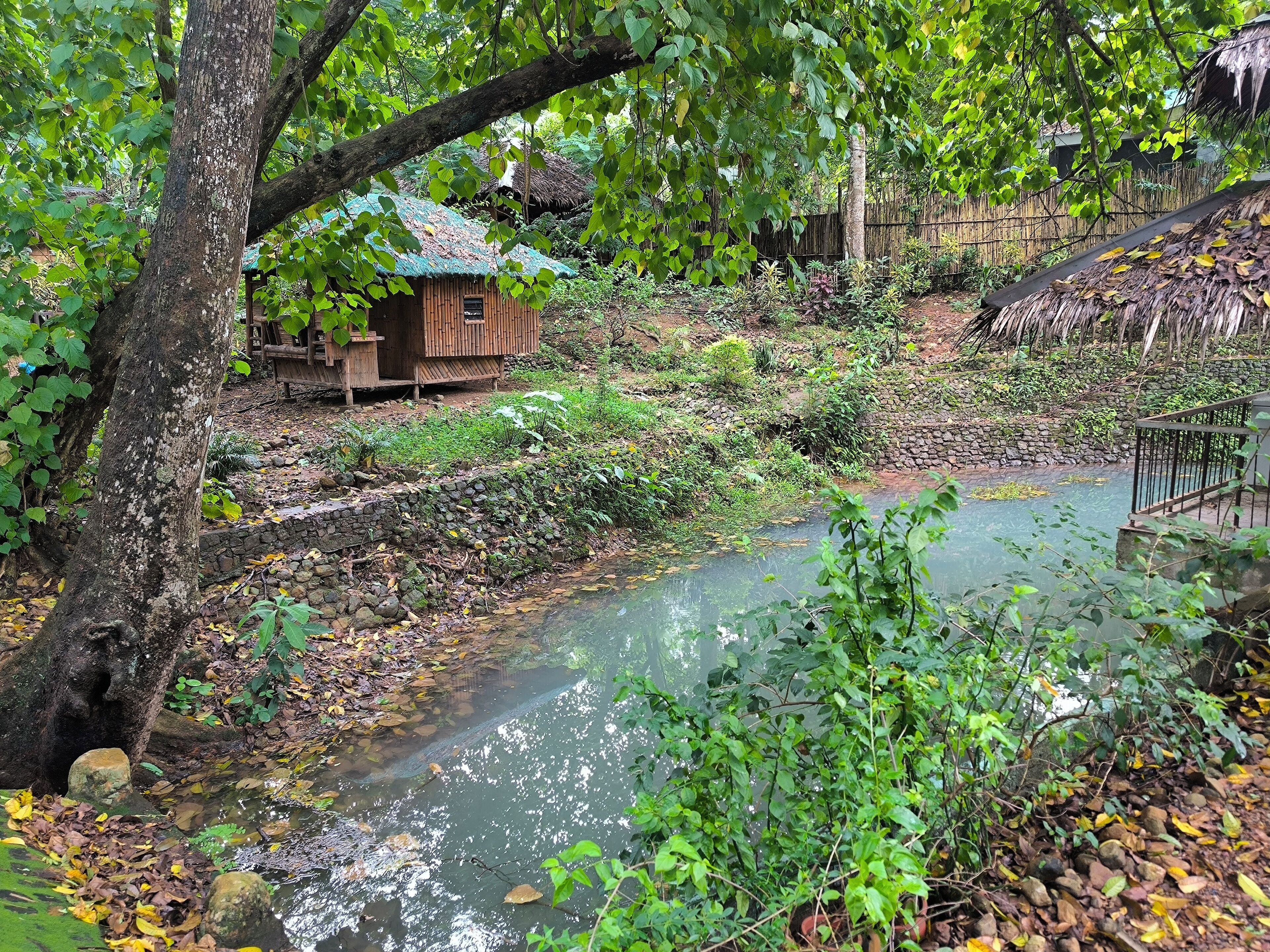 A rustic wooden structure with a thatched roof, surrounded by lush greenery and a small stream.