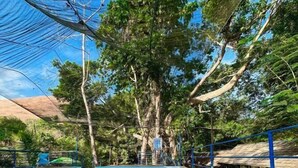 A swimming pool with clear blue water, surrounded by trees and a blue fence. - El Bosque Resort (Coron)