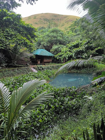 Áreas de la propiedad. El Bosque Resort