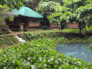 Cottage Standar, pemandangan kolam renang | Halaman properti