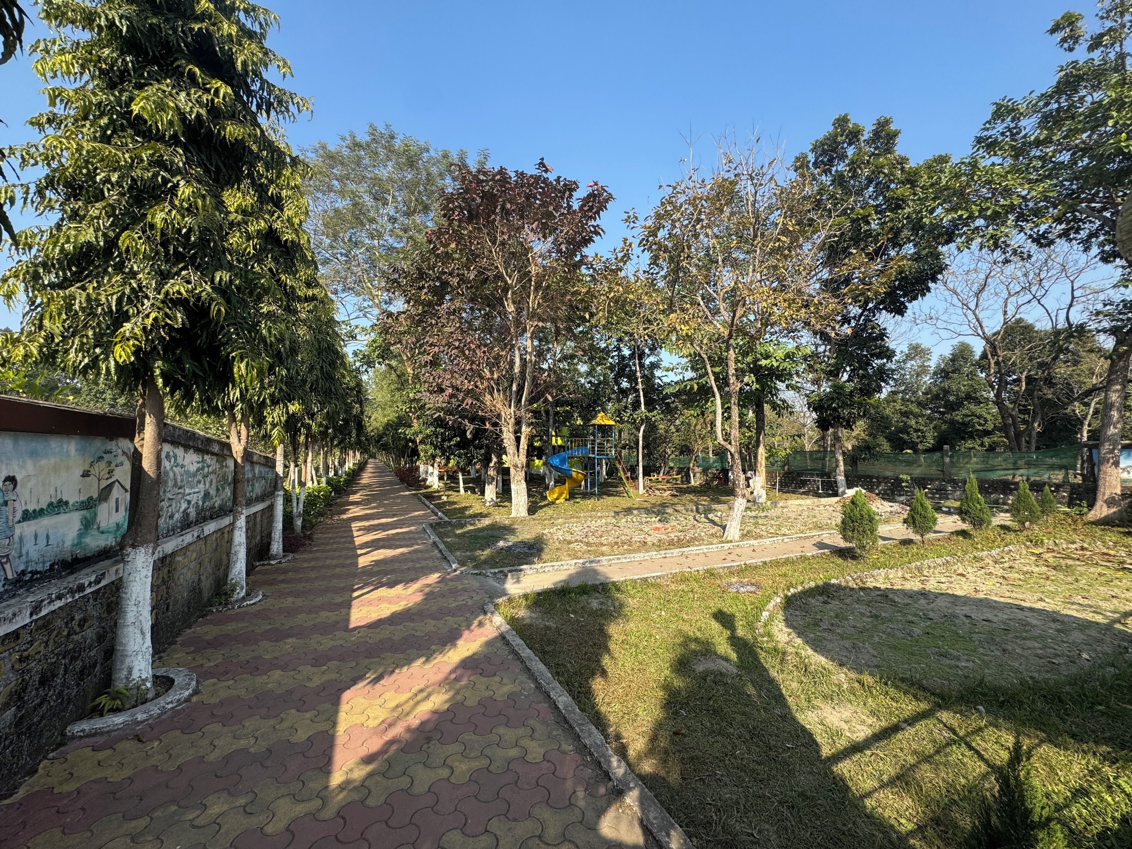 Un sendero bordeado de árboles y una zona de juegos.