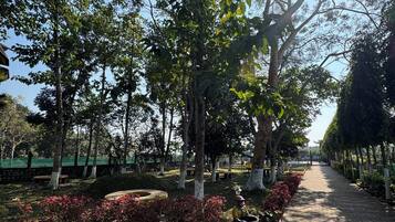 A paved pathway lined with trees and shrubs, leading to a distant structure.
