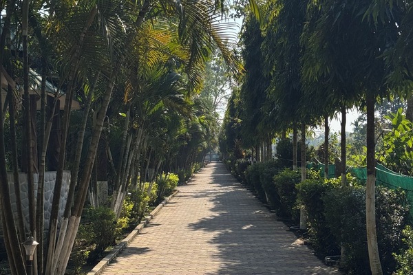 View from property