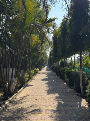 Un chemin pavé, bordé de palmiers et de verdure, qui mène à un bâtiment situé au loin.