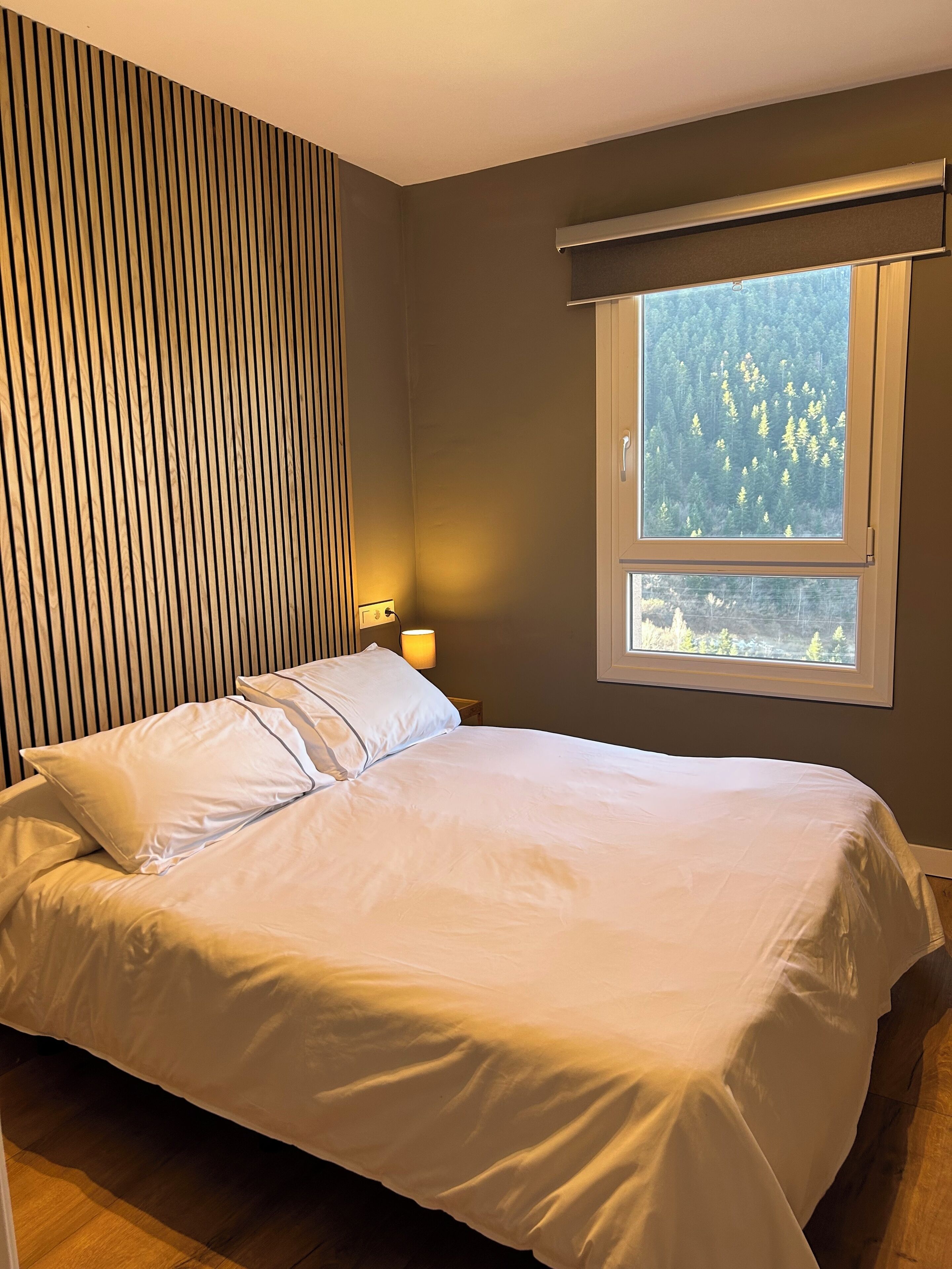 Iron/ironing board, internet, bed sheets