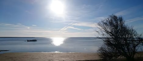 Vlak bij het strand