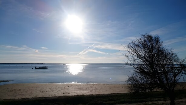 Une plage avec un bateau, un ciel dégagé et un arbre.