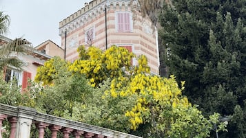 Detalle exterior