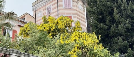 DĂ©tail de lâextĂ©rieur