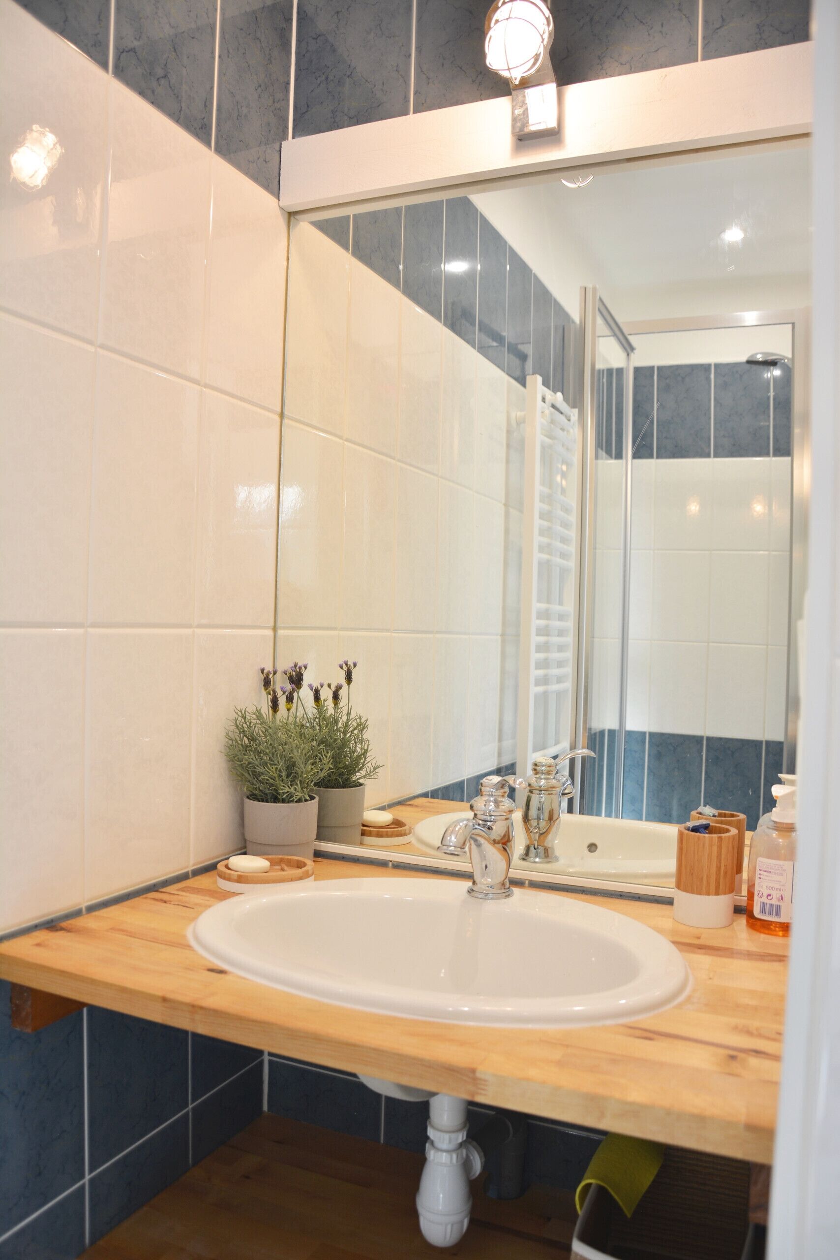 Shower, hair dryer