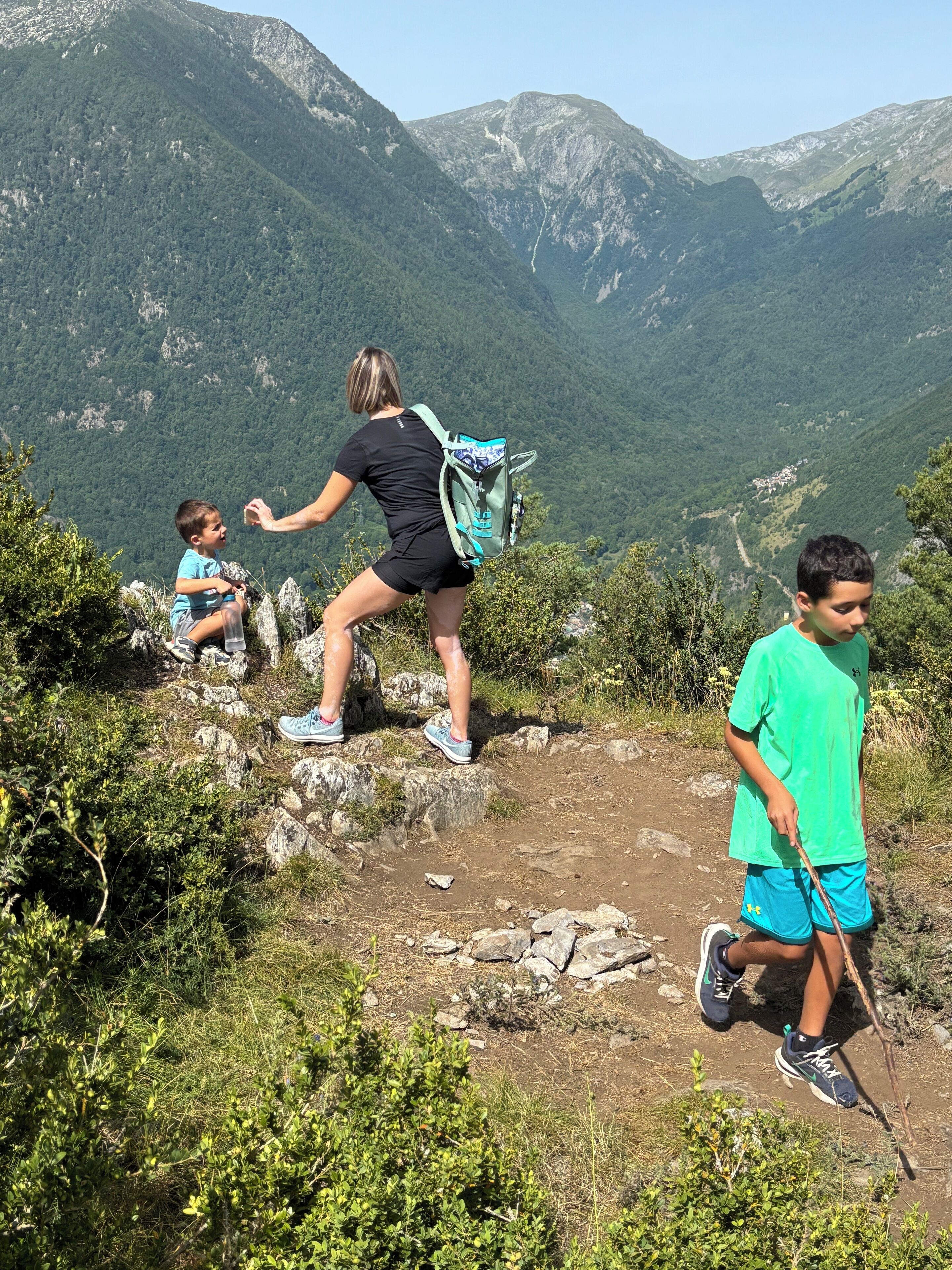 Un sendero de montaña con terreno rocoso y abundante vegetación.