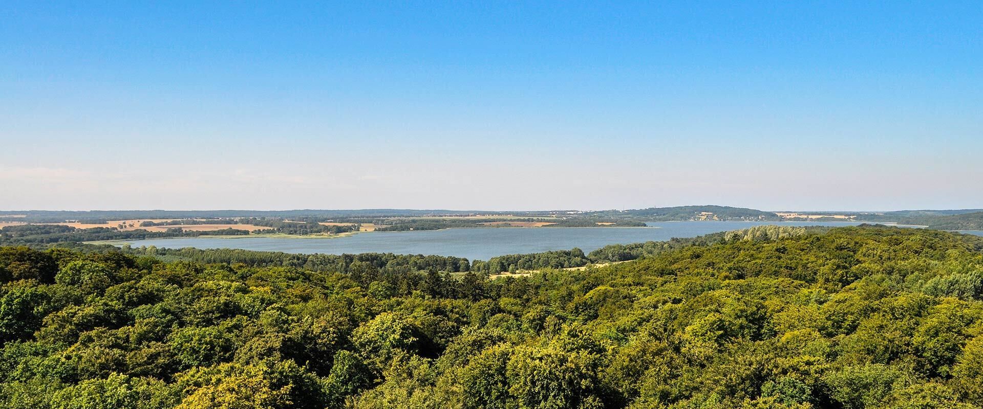 A forested landscape with a lake and distant hills.