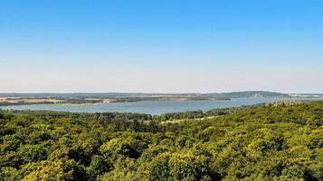 A forested landscape with a lake and distant hills.
