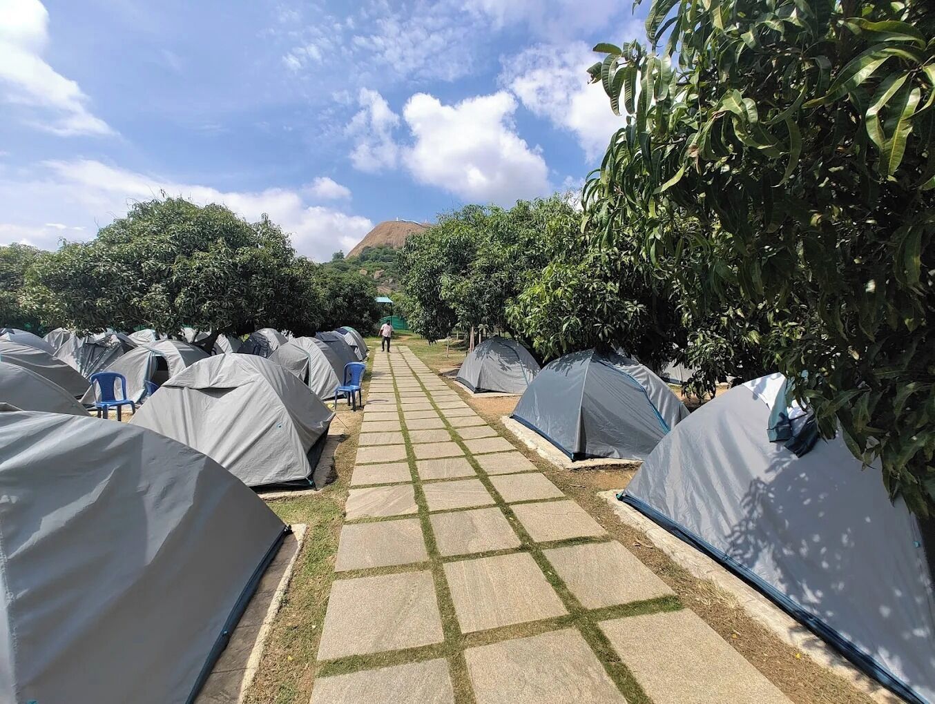 Tent | Property grounds