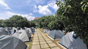A row of tents with a paved walkway between them, surrounded by greenery. - Q Mango Forest Camping (Ramanagara)