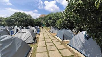 Basic Tent | Property grounds
