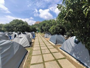 Basic Tent | Property grounds