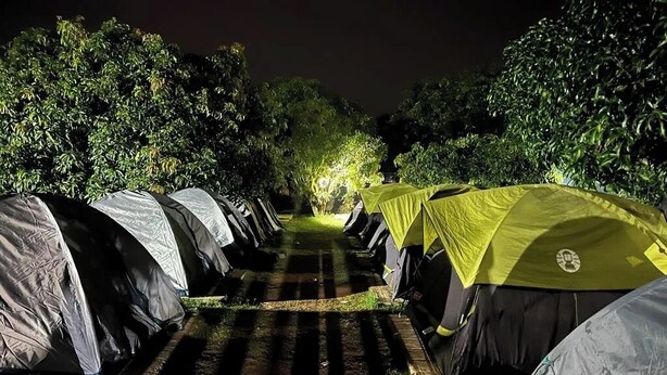 A row of tents along a pathway in a wooded area, with one tent illuminated by a light. - Q Mango Forest Camping (Ramanagara)