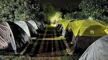 Tenda Basic | Halaman properti