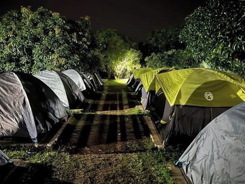 Q Mango Forest Camping