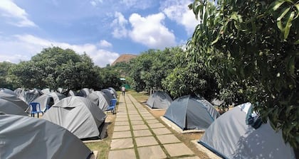 Q Mango Forest Camping