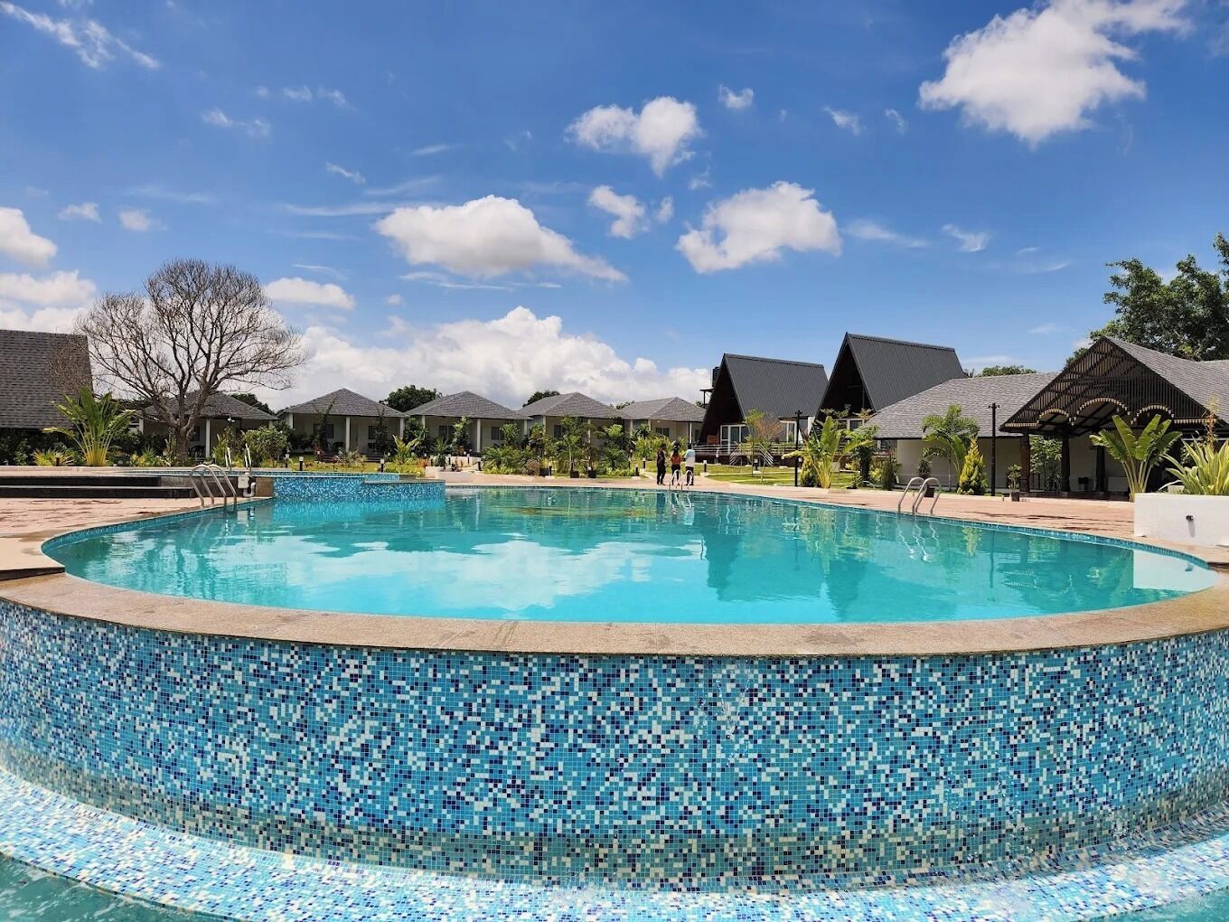 Basic Tent | Pool | Outdoor pool