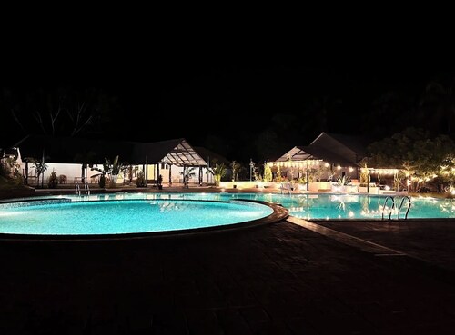 Q Mango Forest Camping