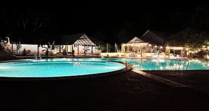 Q Mango Forest Camping