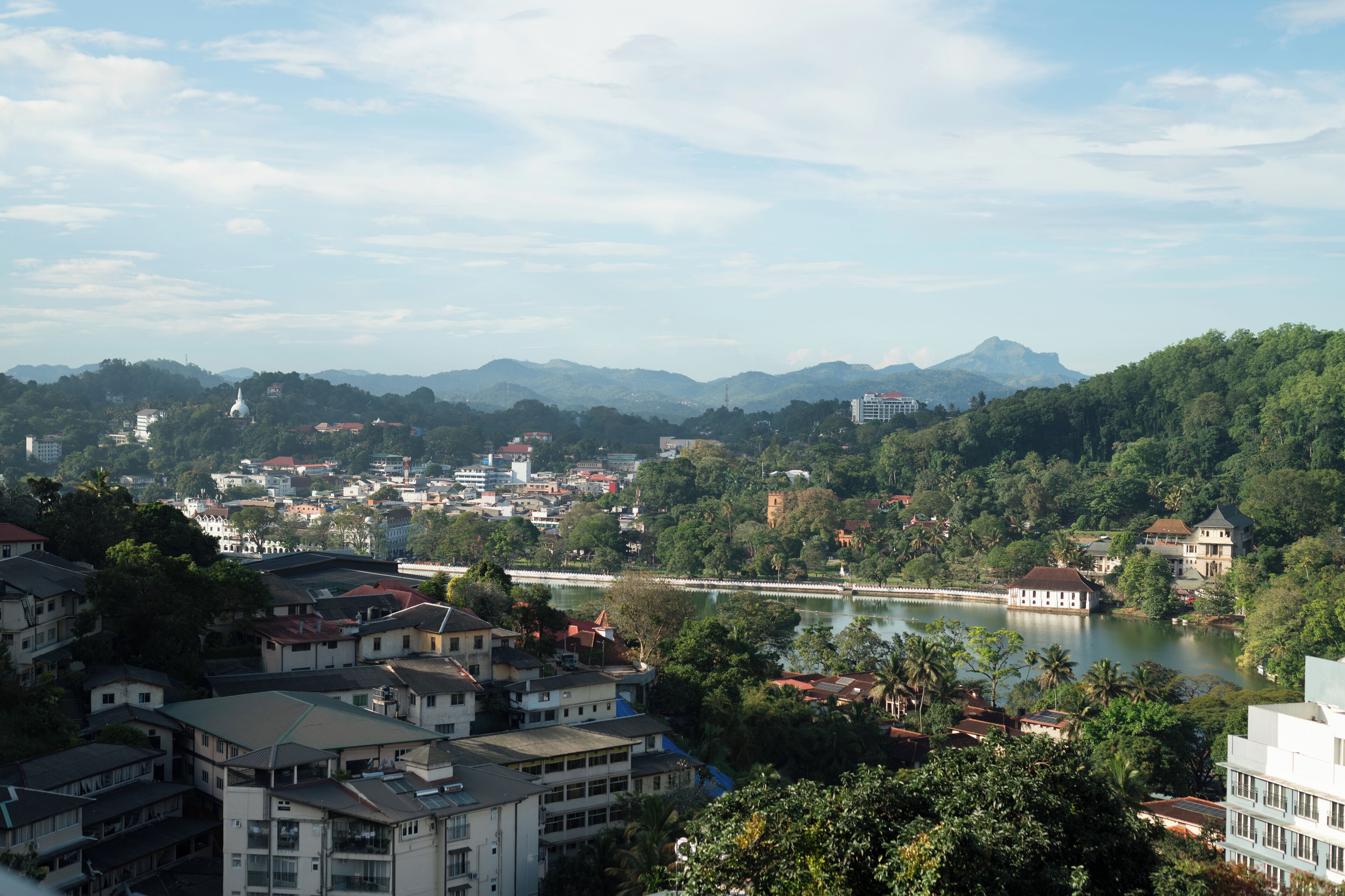 Vista desde la propiedad