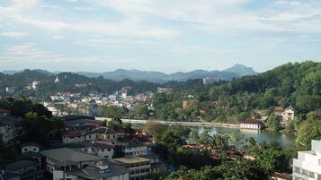 Vista desde la propiedad