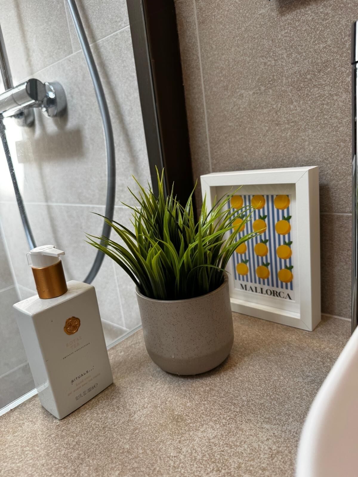 Une salle de bain avec une douche, une plante en pot, un tableau encadré et une bouteille de thé.