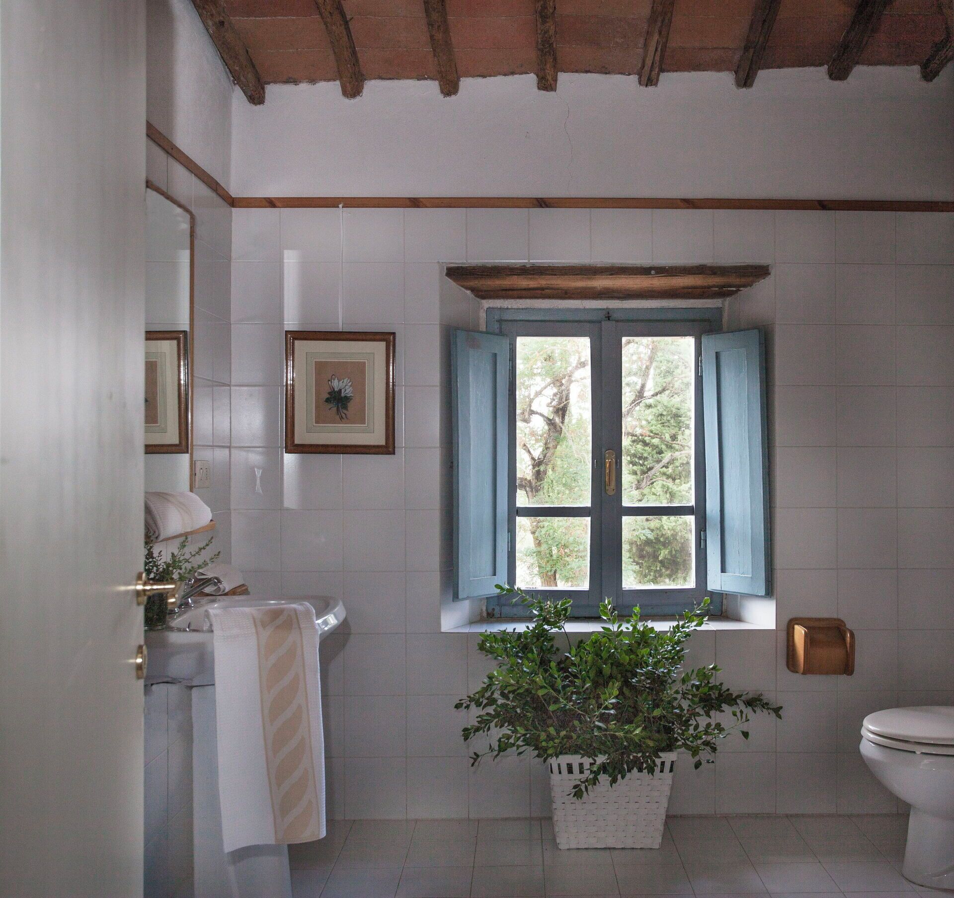 A bathroom with a window, a sink, a toilet, and a potted plant.