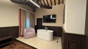 Suite presidencial, terraza | Minibar, caja fuerte, escritorio y wifi gratis