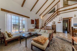 Smart TV, chimenea, libros y estéreo